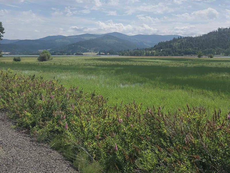 Part 2: What Are Topics to bring to Therapy? vs. What Are Topics to Bring to&nbsp;Coaching?