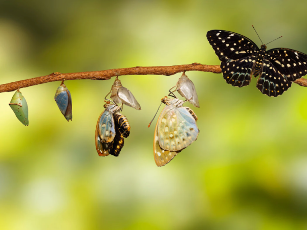 Radical Responsibility: The Key to Holistic&nbsp;Well-being